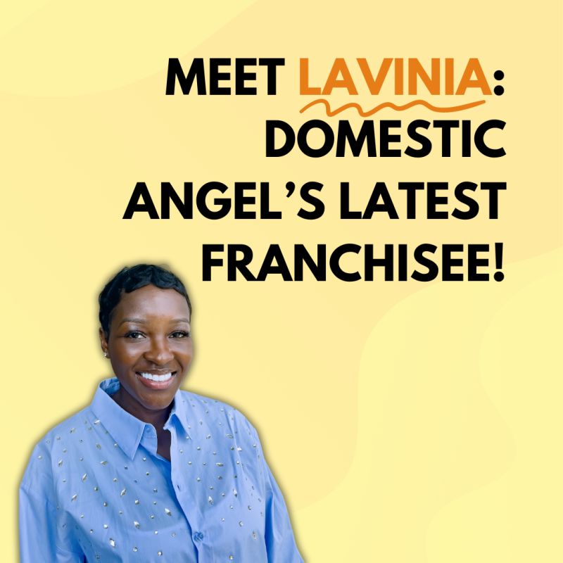 Welcome to Lavinia – Domestic Angels Greenwich & Borders